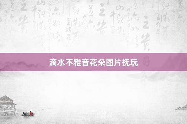 滴水不雅音花朵图片抚玩