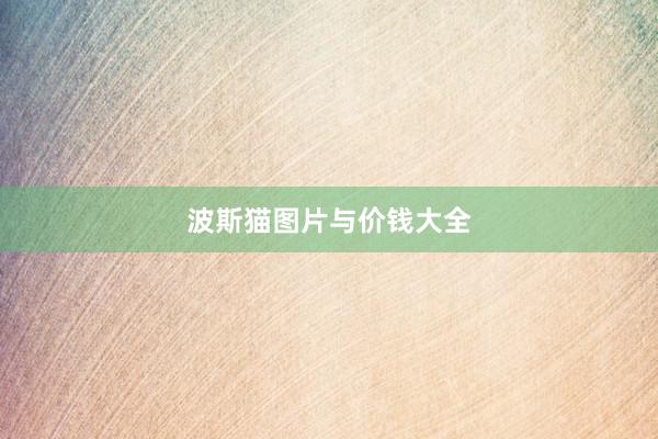 波斯猫图片与价钱大全