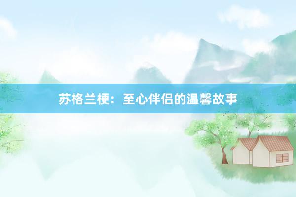 苏格兰梗：至心伴侣的温馨故事